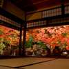 圓徳院