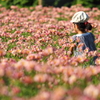花畑の中