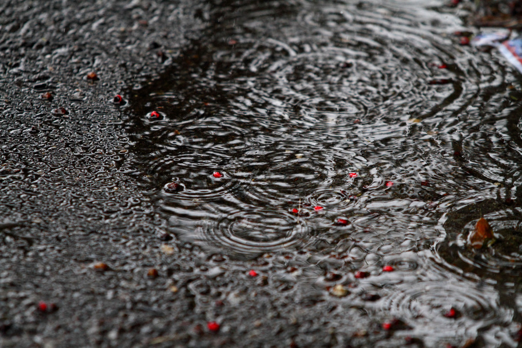 雨音