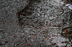 雨音