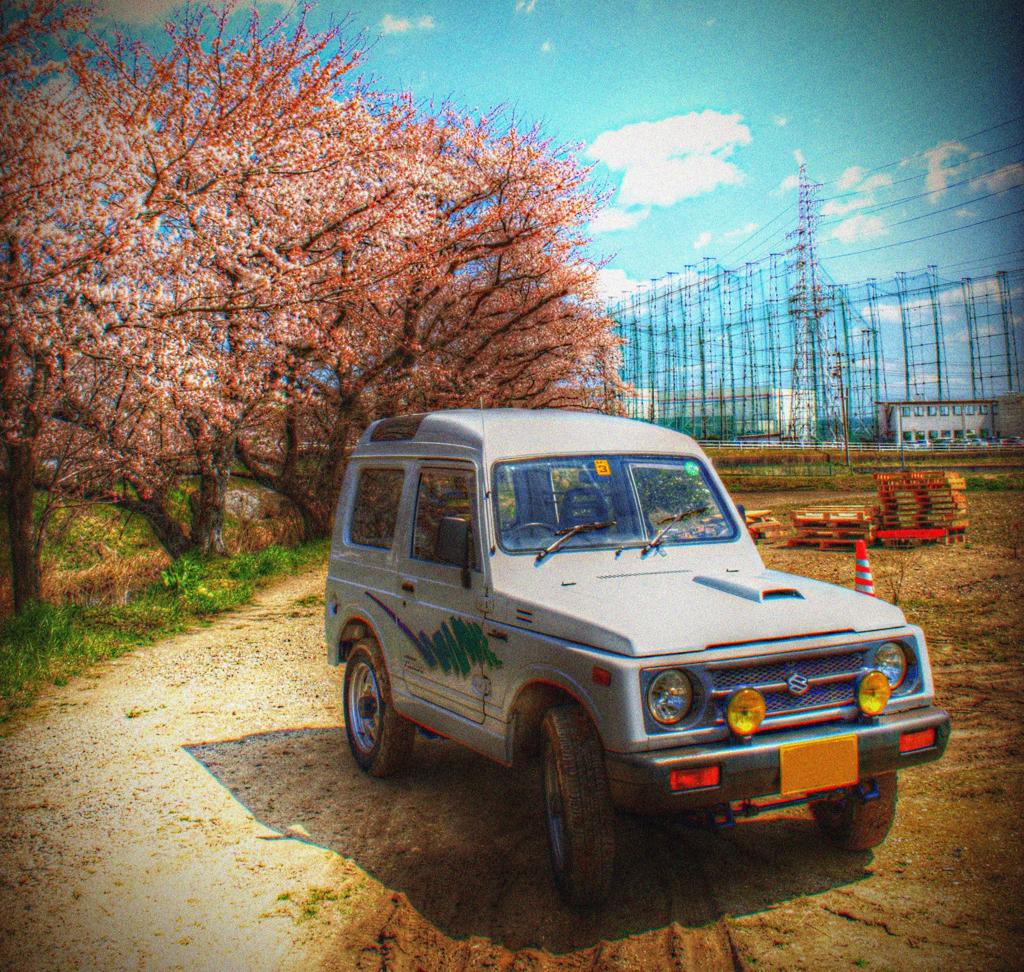 桜とジムニー２