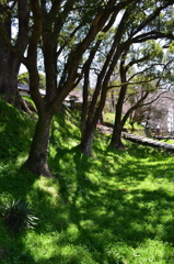 green