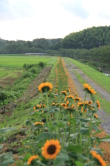 そっぽ向かないで