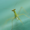 威嚇してるんだぞ～