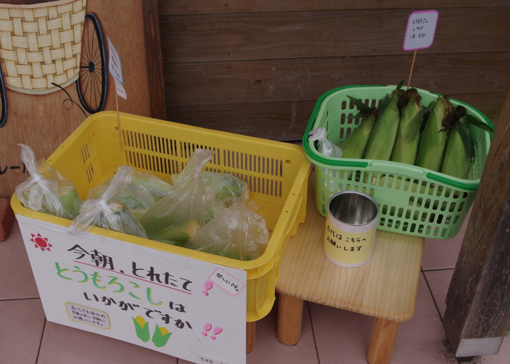 本日のおやつ