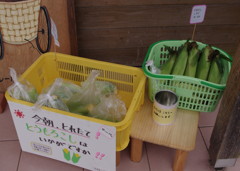 本日のおやつ