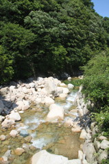 渓流を望む