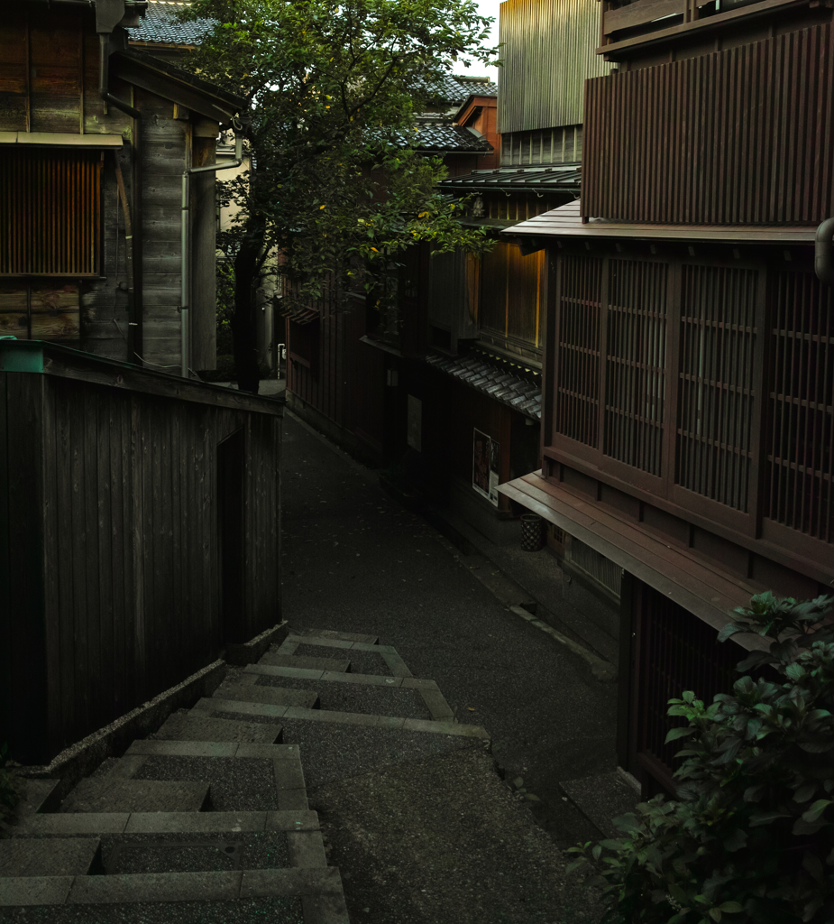 暗がりの坂