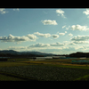 over the whole sky