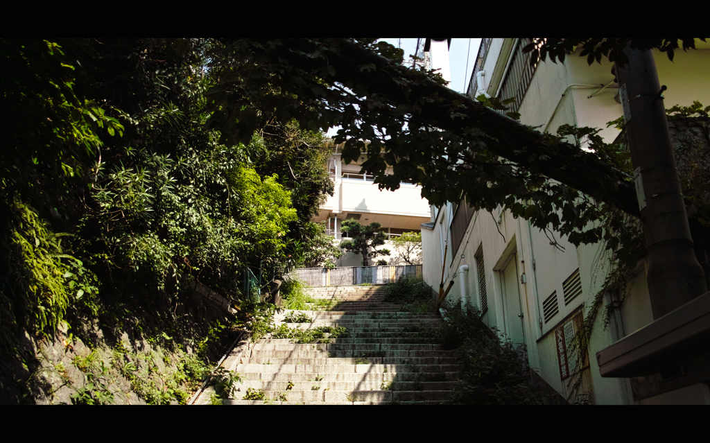 散歩道 2
