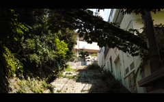 散歩道 2