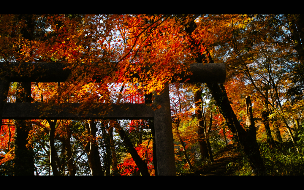 香取神宮散歩 2