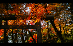 香取神宮散歩 2