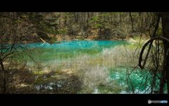 Silky Azure