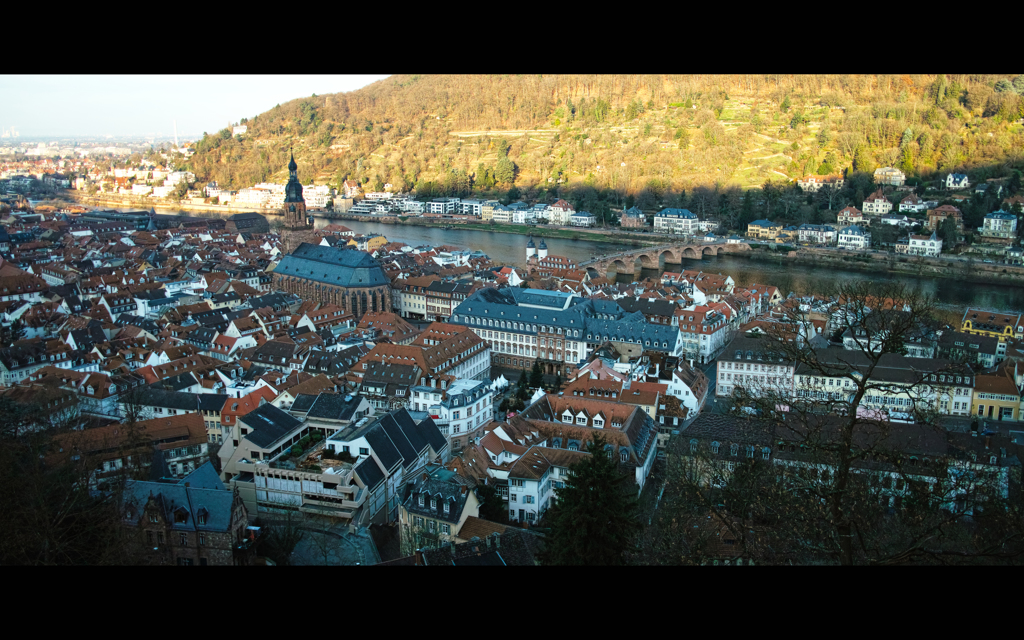 Heidelberg散歩 1