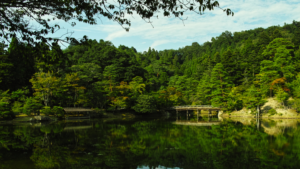 悠久の庭園 5