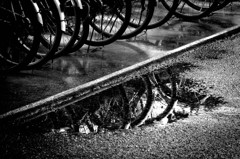 自転車置き場