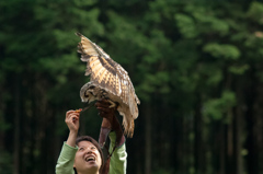 富士花鳥園　ふくろう5