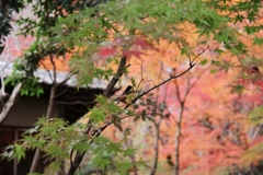 静寂のなか