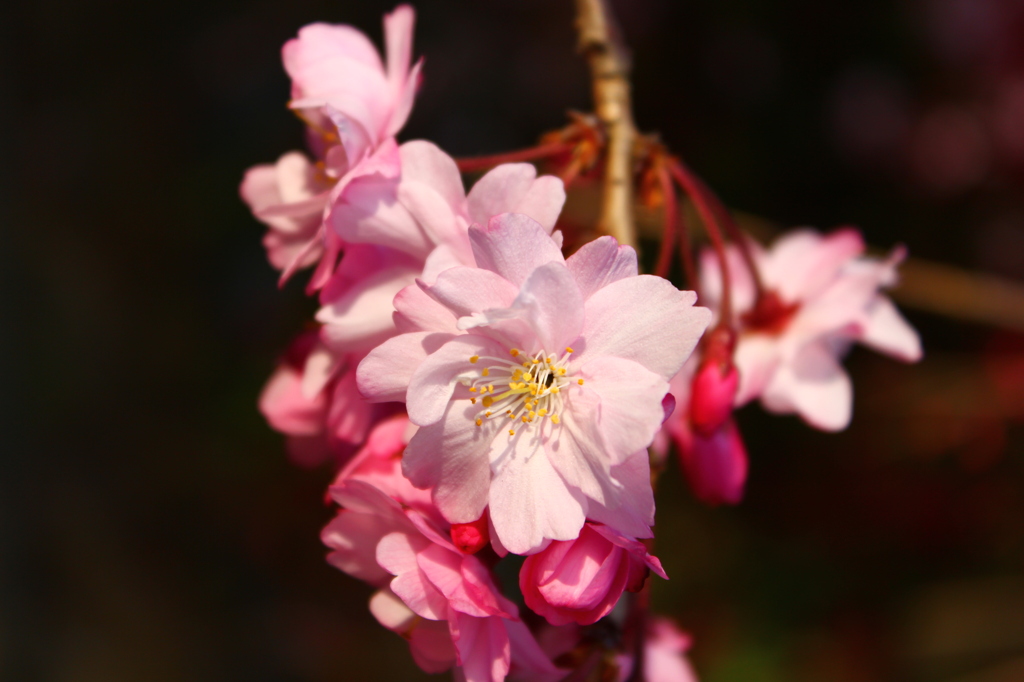 終春の中・・・