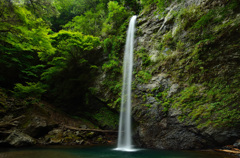 緑景の明神滝