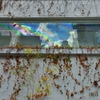 False color