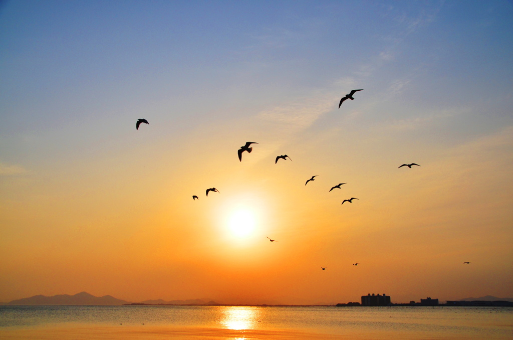 自由な空 By ブル Id 954 写真共有サイト Photohito