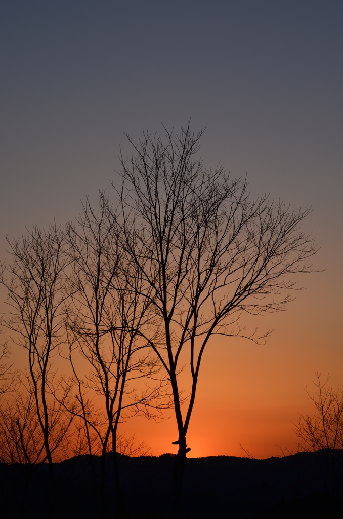 夕日　１