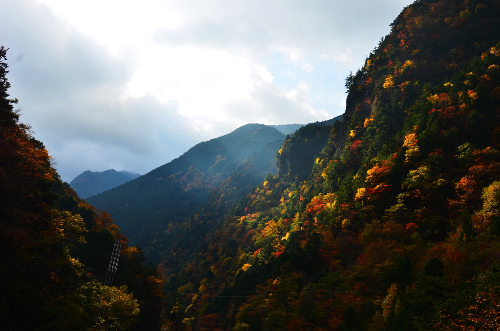 神の悪戯