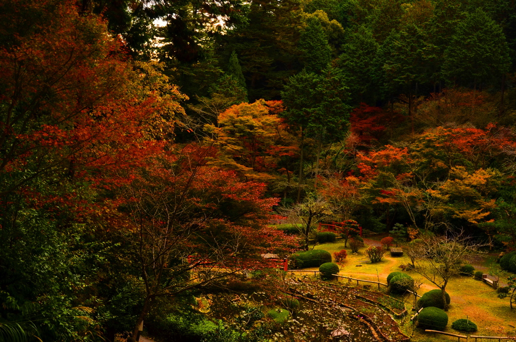 Japanese Garden