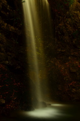 Fall