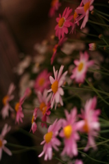 0020