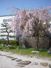 P1050079