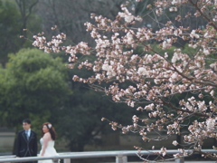末永くお幸せに