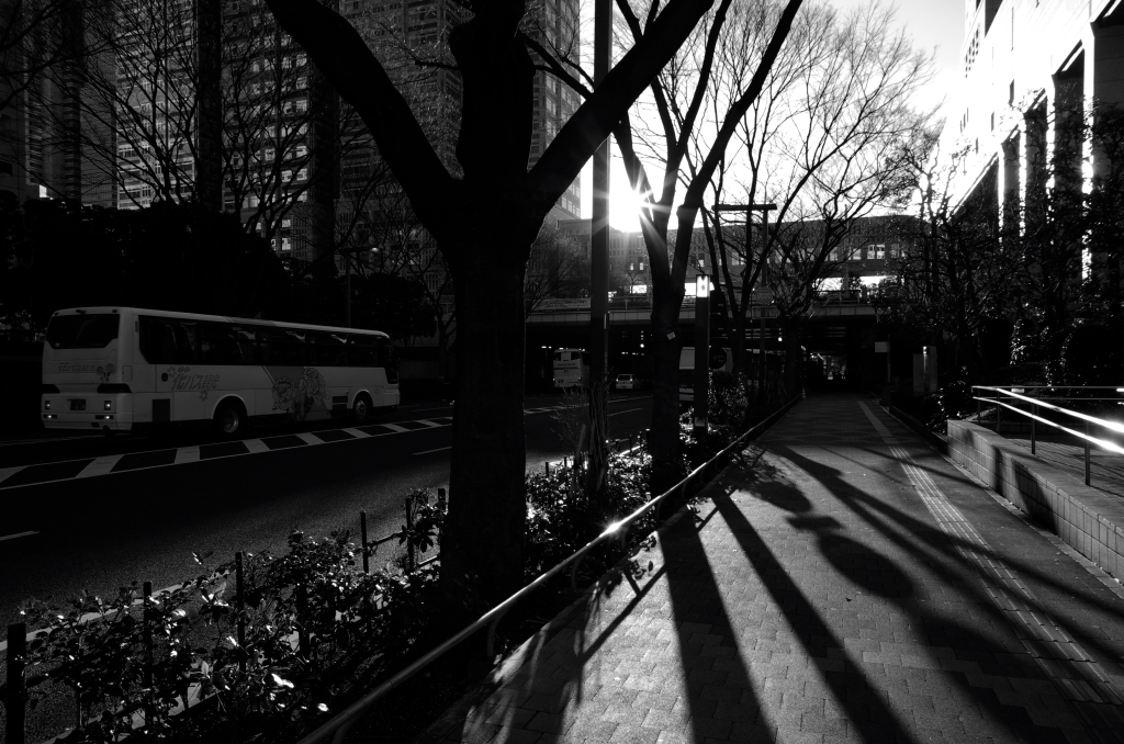 Setting　sun