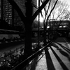 Setting　sun