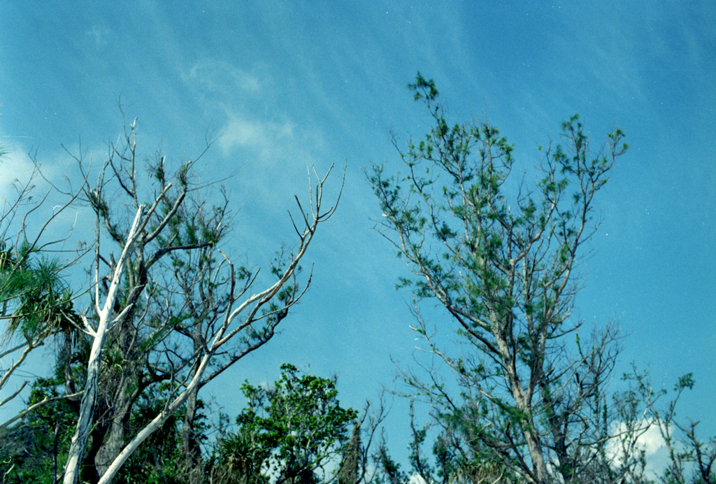 skyhigh