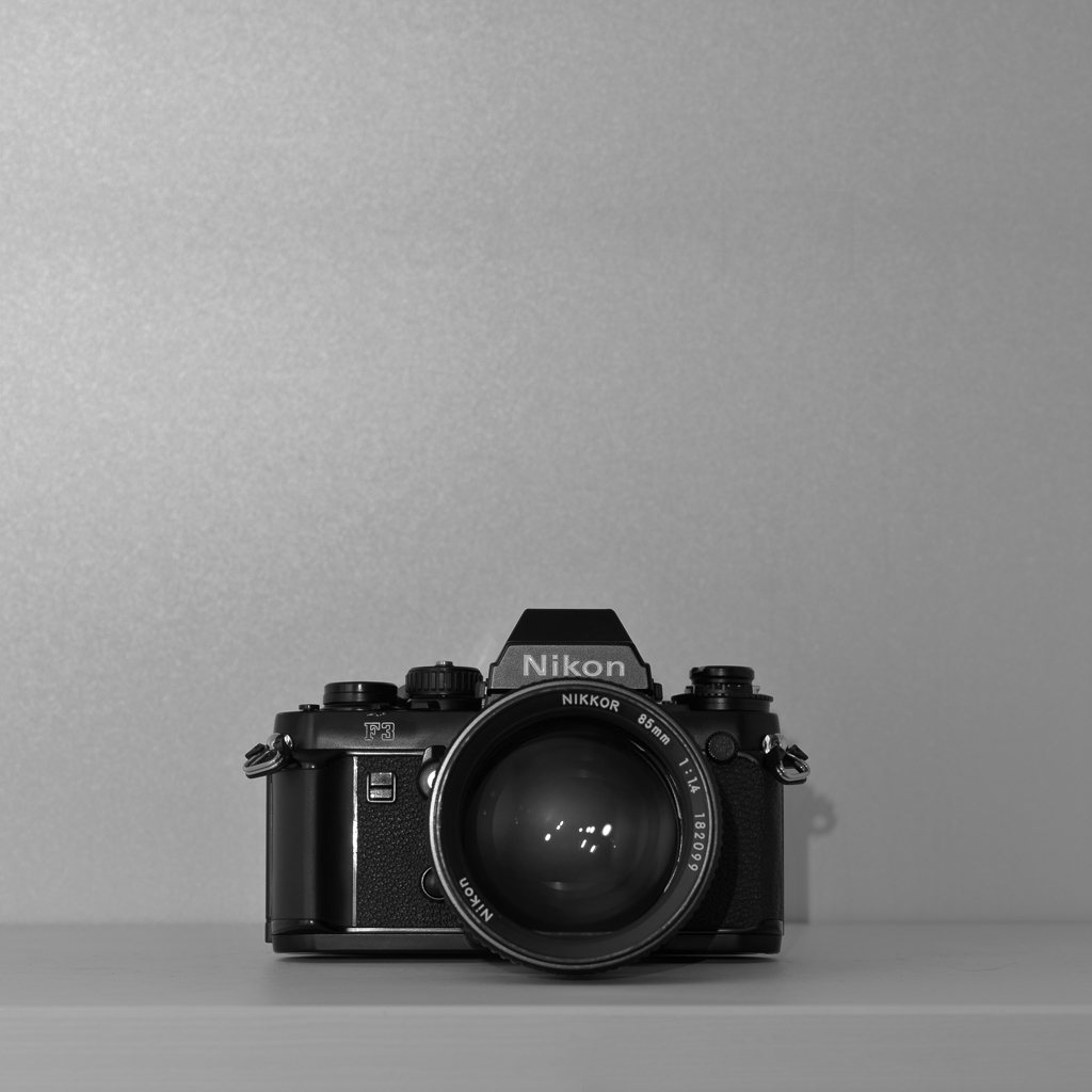 portrait of camera