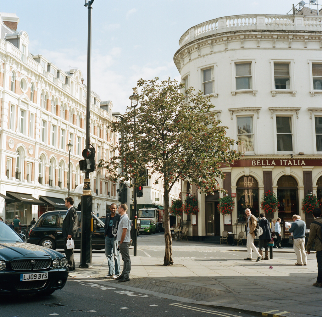 tree of London