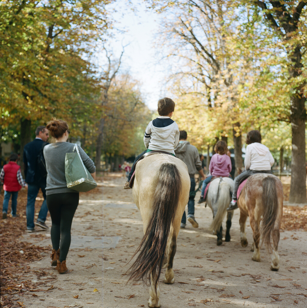 Le Jardin du Luxembourg