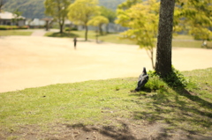 人1人鳩1羽