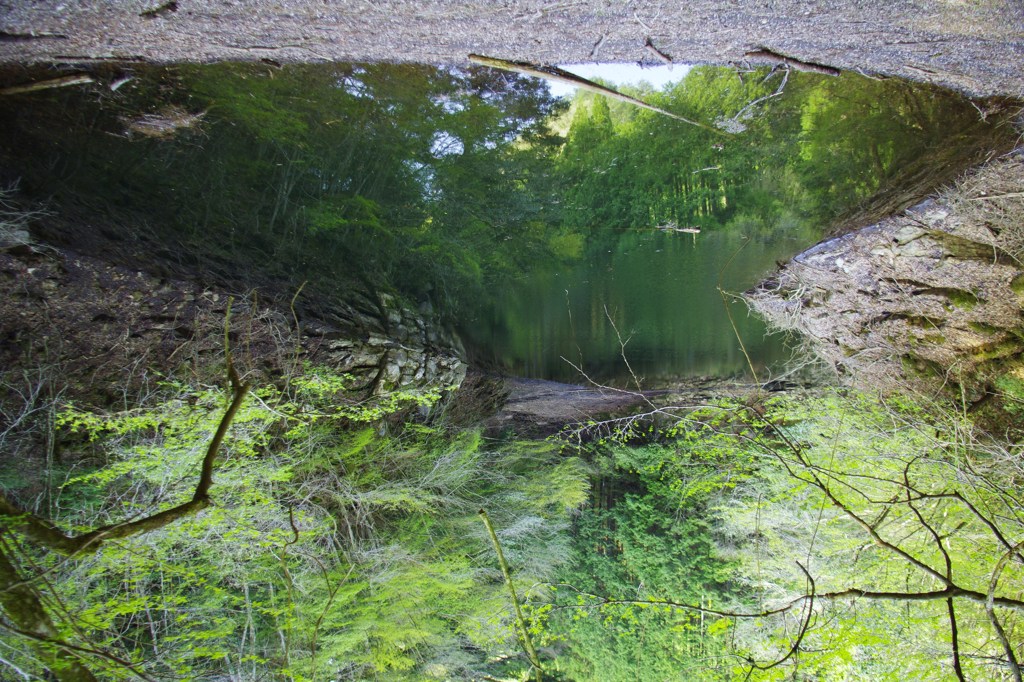 池森