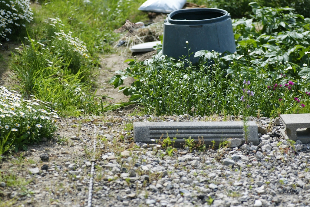 そりゃ、逃げろい！