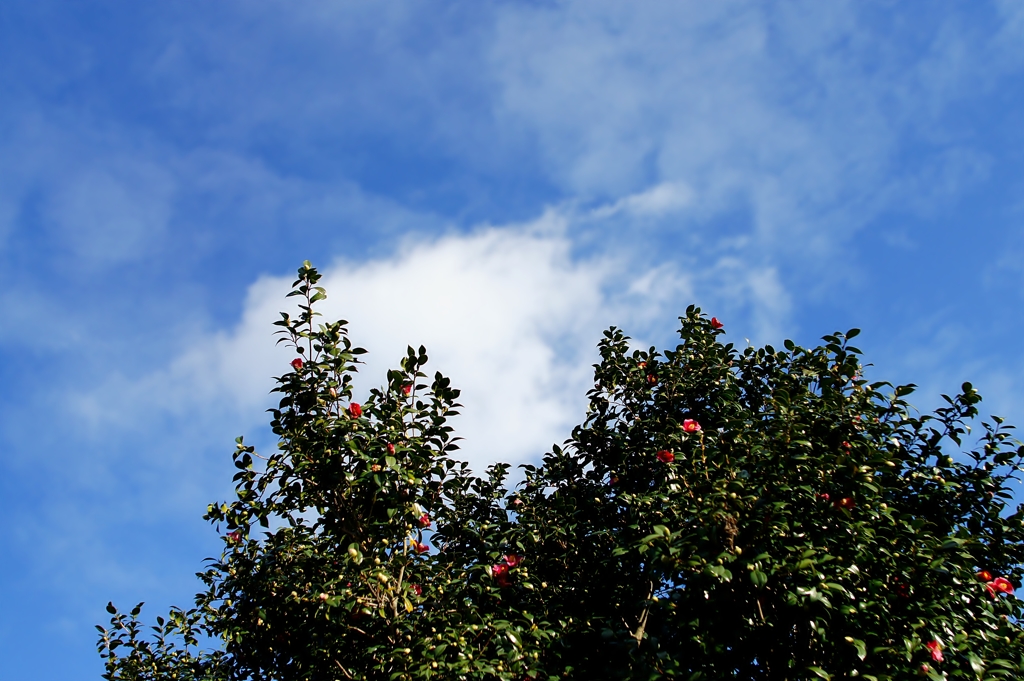 空