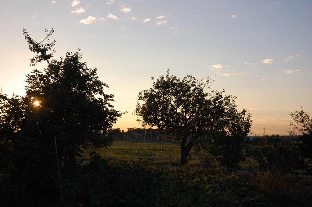 夕日