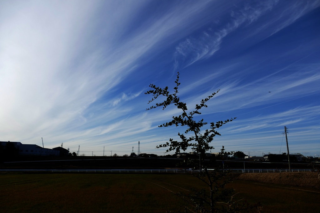 初冬の情景