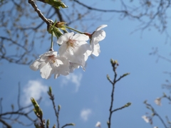 春空