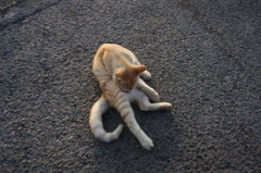 まったり