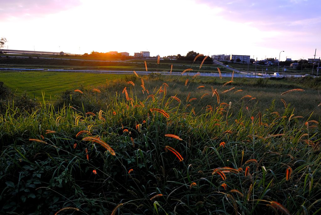 夕暮れ