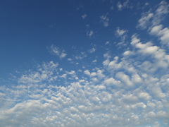 空